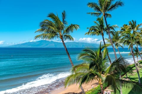 Relax in barefoot luxury where the gentle surf meets vibrant Hawaiian skies