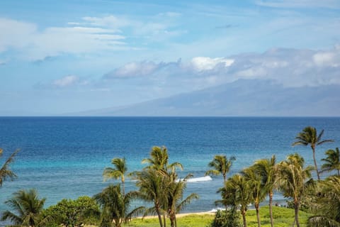 Palm trees sway beside turquoise waves under a mountain backdrop.