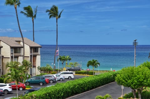 Beachfront property nestled between swaying palms and pristine turquoise waters, with convenient parking and lush tropical landscaping surrounding the building.