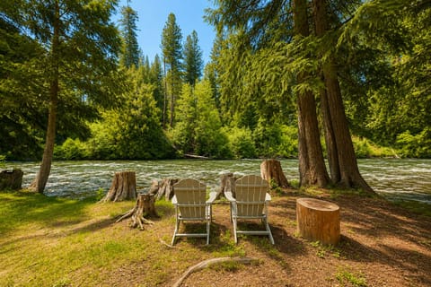 Your private riverside retreat awaits—where towering trees meet flowing water, and two perfect chairs invite you to sit, listen, and breathe in nature's calm.