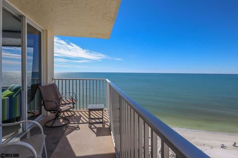 WOW! What a fabulous view of the Gulf