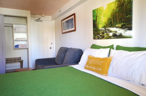 Queen bed and twin sofa bed