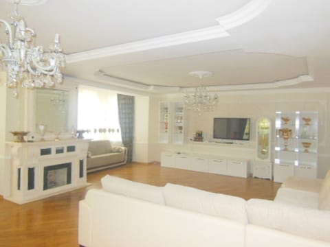 Flat-screen TV, fireplace