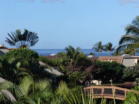Ocean & Garden View from Large Spacious Lanai. All New A/C's & Major Appliances
