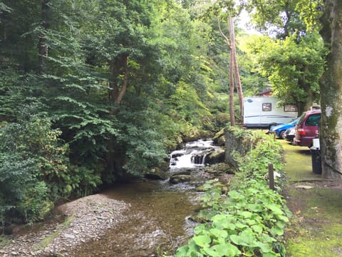 Brown trout live in the West Lyn River and all guests can fish for free