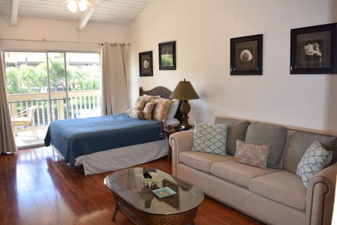 Amazing studio with vaulted ceilings