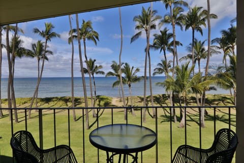 Tropical view