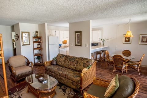 Living room to kitchen