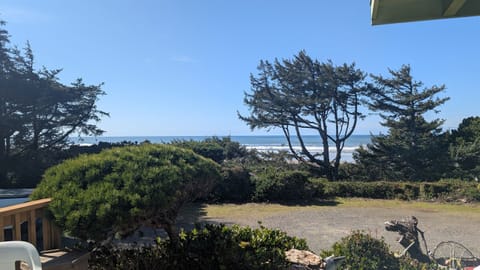 stunning windswept views from the front deck