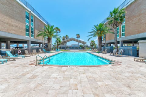 Sparkling pool surrounded by swaying palms and modern buildings creates the perfect tropical oasis for your Florida getaway.