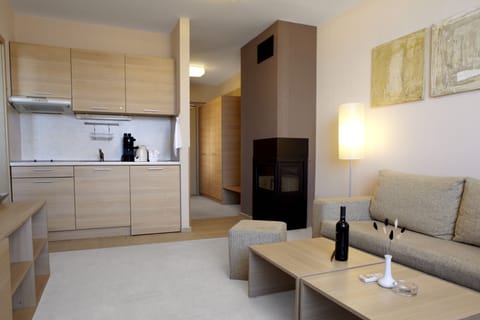 Standard Plus Apartment | Hypo-allergenic bedding, down comforters, minibar, in-room safe