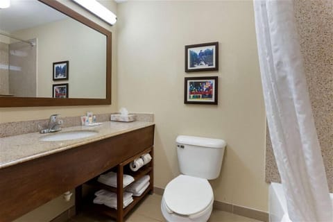 Combined shower/tub, free toiletries, hair dryer, towels