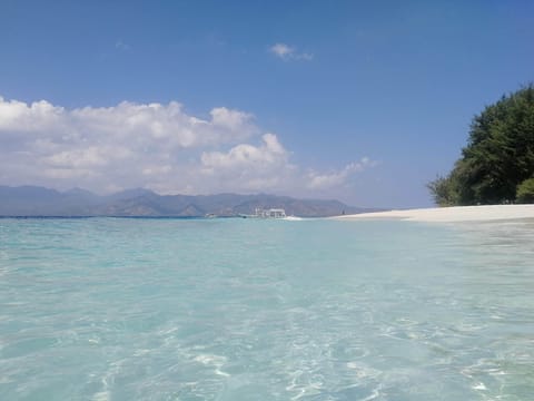 Beach nearby, scuba diving