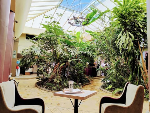 Comfort Room | Reception