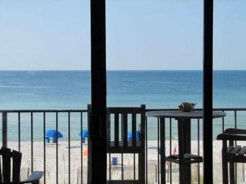 Can You Picture Yourself Here? This was taken from inside our unit!