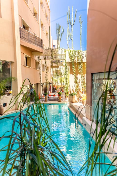 Outdoor pool, sun loungers