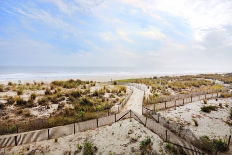 Oceanfront View from Diamond Beach 311 Balcony