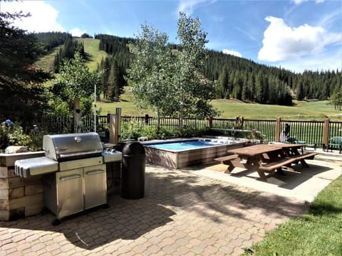 Common Hot Tub/Grill