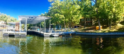 The cottage is nestled in the mature trees with a dock you won't believe.
