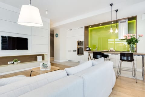 Deluxe Apartment, 1 Bedroom | Living area | TV