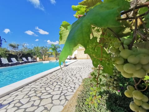 Outdoor pool, a rooftop pool, pool umbrellas, sun loungers
