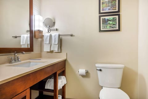 Standard Room, 1 King Bed, Non Smoking | Desk, laptop workspace, blackout drapes, free WiFi