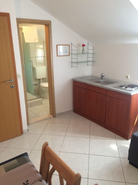 Apartment, 1 Queen Bed with Sofa bed, Balcony | Bathroom shower