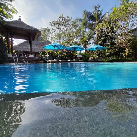 Outdoor pool, pool umbrellas, sun loungers