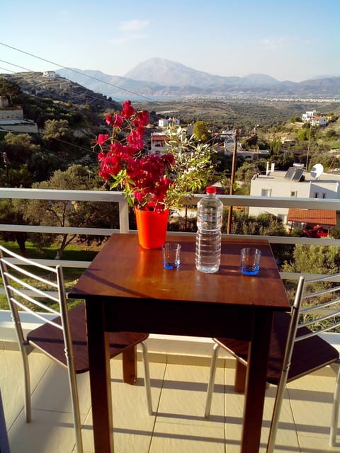 Standard Apartment | Terrace/patio
