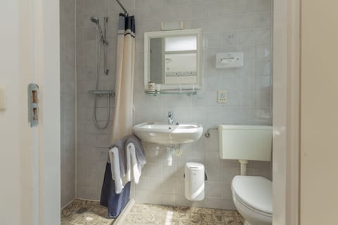 Double Room | Bathroom | Shower, free toiletries, hair dryer, towels