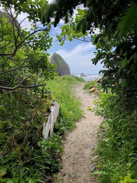 Beautiful path and the beach emerges