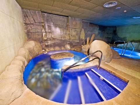 Sauna, hot tub, steam room, body treatments, hydrotherapy, aromatherapy