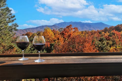 Gorgeous mountain views