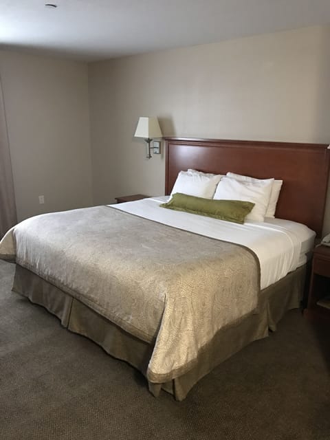 Premium bedding, down comforters, desk, laptop workspace
