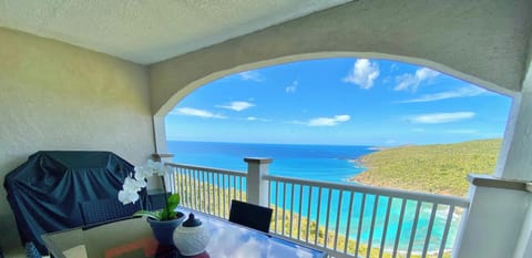 The view from the private back porch which includes a grill and seating for 4. 