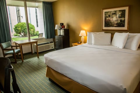 Room, 1 King Bed | Desk, laptop workspace, blackout drapes, iron/ironing board