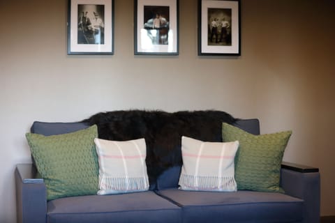 Family Double Room, 1 King Bed with Sofa bed | Living area | Flat-screen TV, Netflix