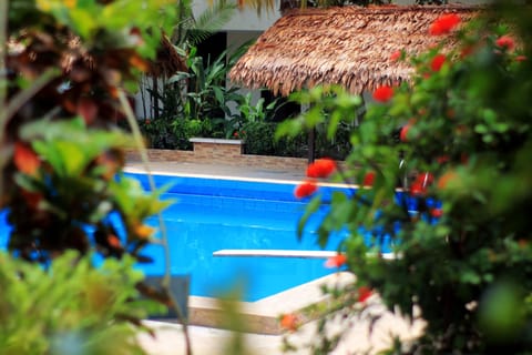 Outdoor pool, sun loungers