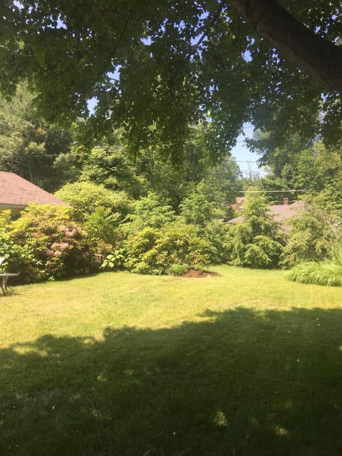 Relax in the shade😀