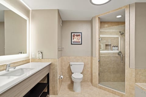 Combined shower/tub, hair dryer, towels