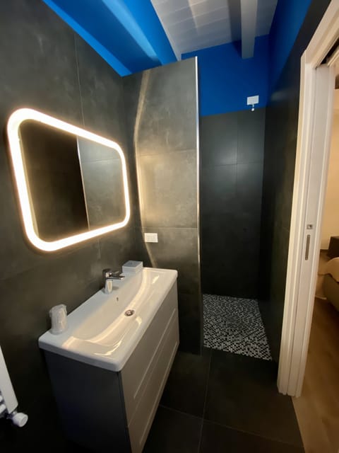 Luxury Room | Bathroom | Shower, rainfall showerhead, free toiletries, hair dryer