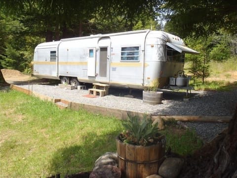 Airstream Streamline in the Redwoods