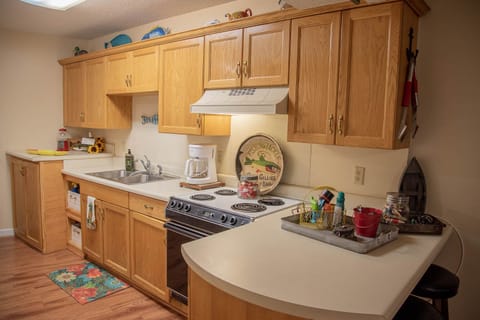 Lower level kitchen.