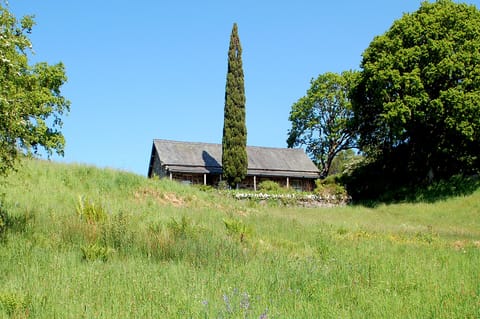 Hafod y Llyn cottage with fine views of woodland and mountains