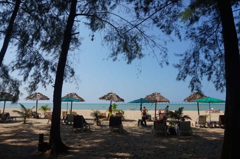 Beach nearby, sun loungers, beach towels, beach massages