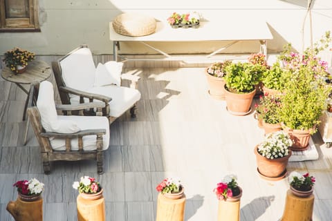 Junior Suite | Terrace/patio
