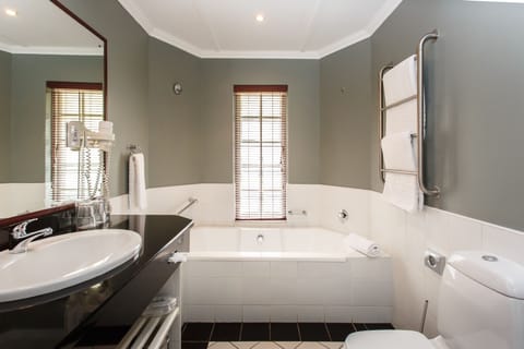 Separate tub and shower, free toiletries, hair dryer, bathrobes