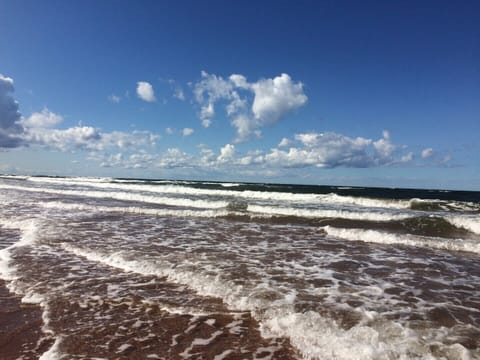 Thunder Cove Beach 2