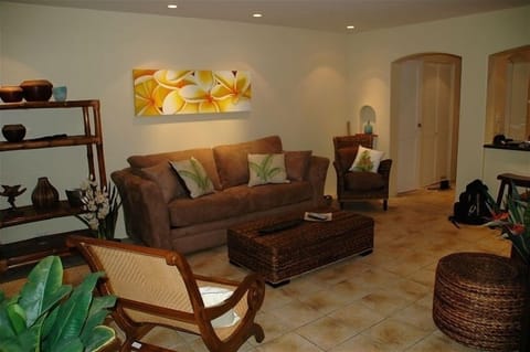 Living room with queen size pullout sleeper couch.