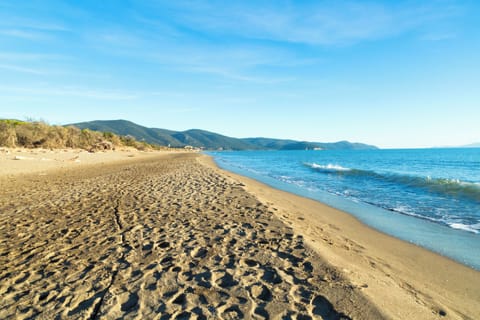 Beach/ocean view